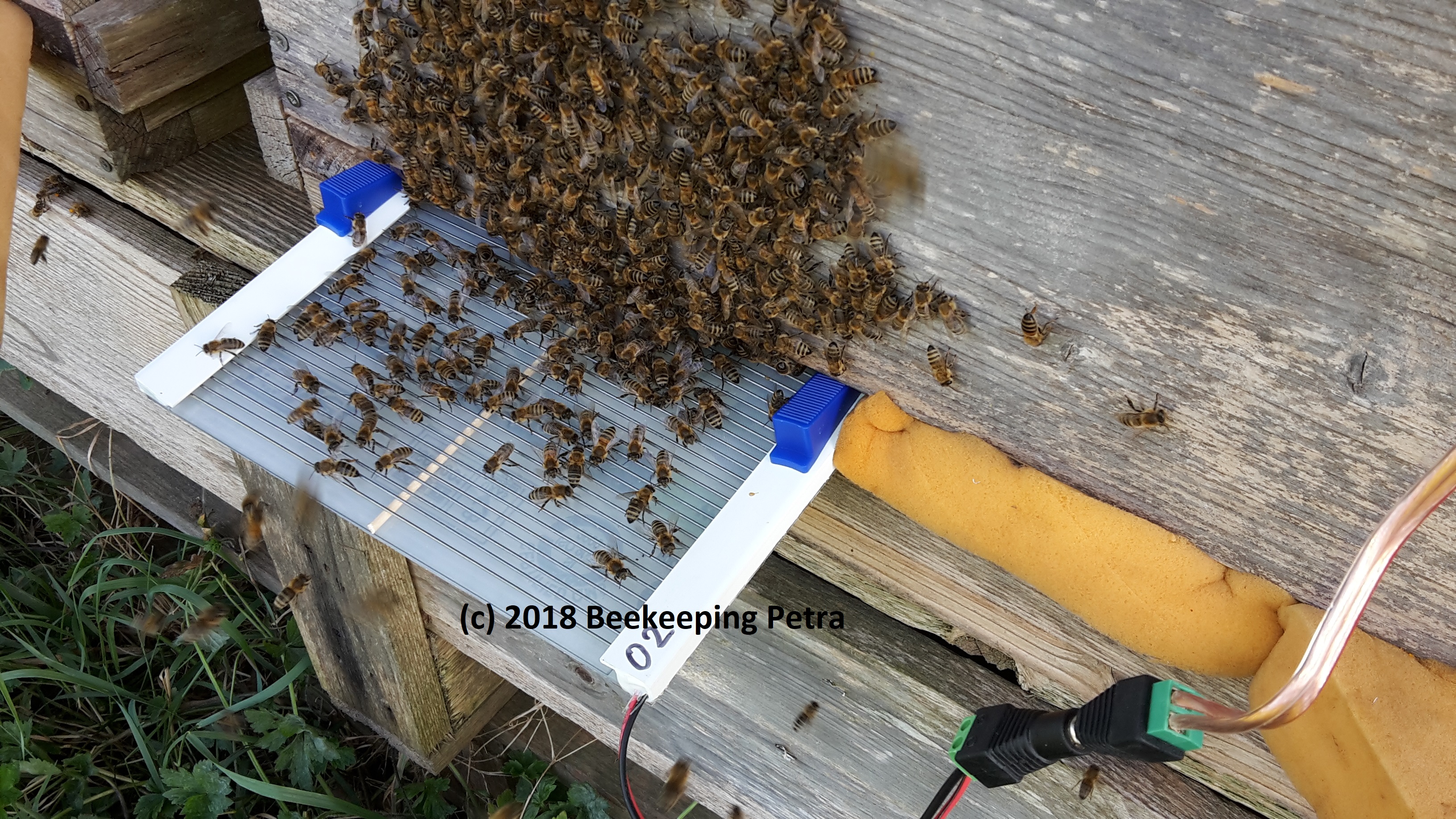 beevenom-apitoxin-collection-beekeeper-bert
